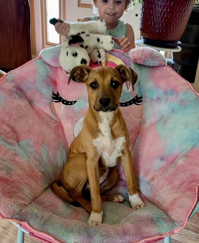 Lilly