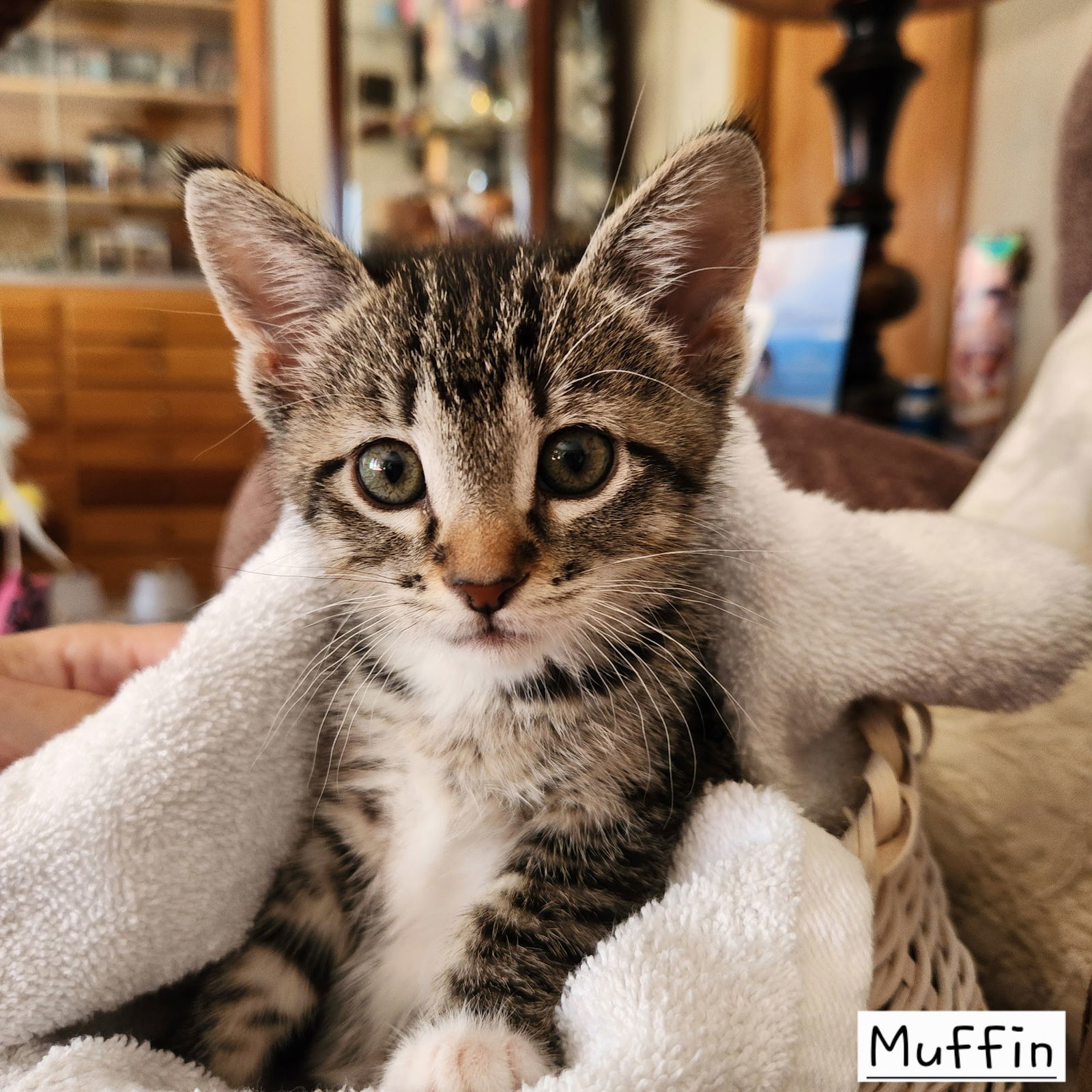 Muffin