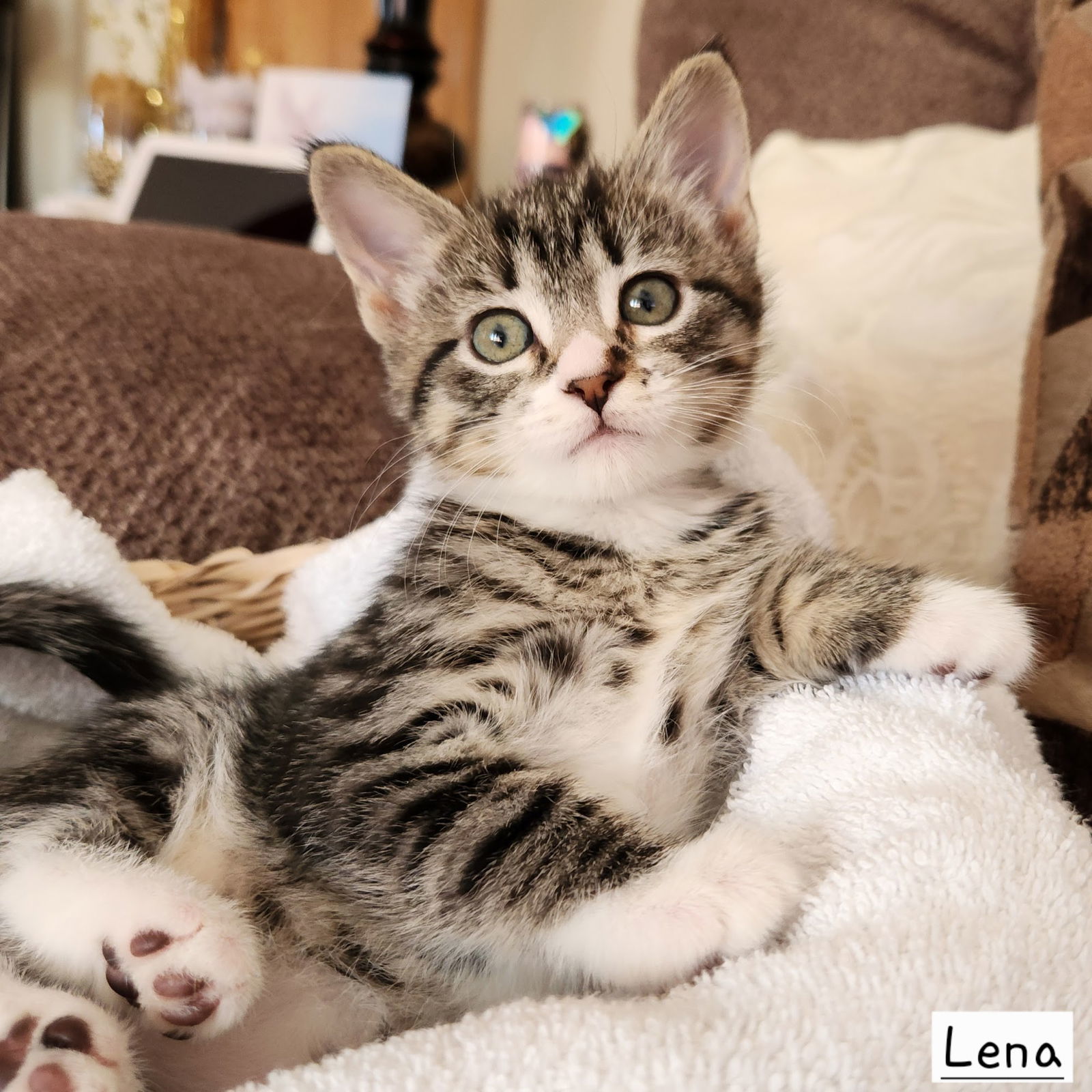Lena
