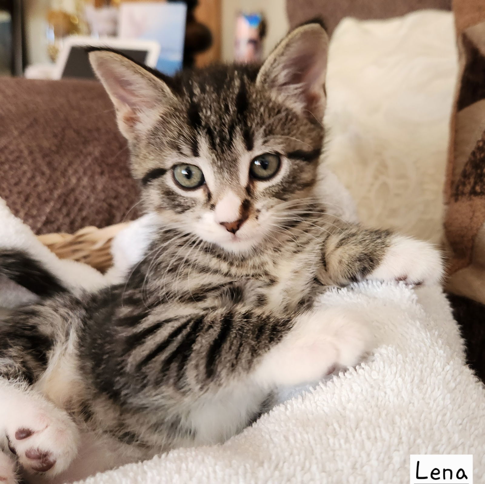 Lena