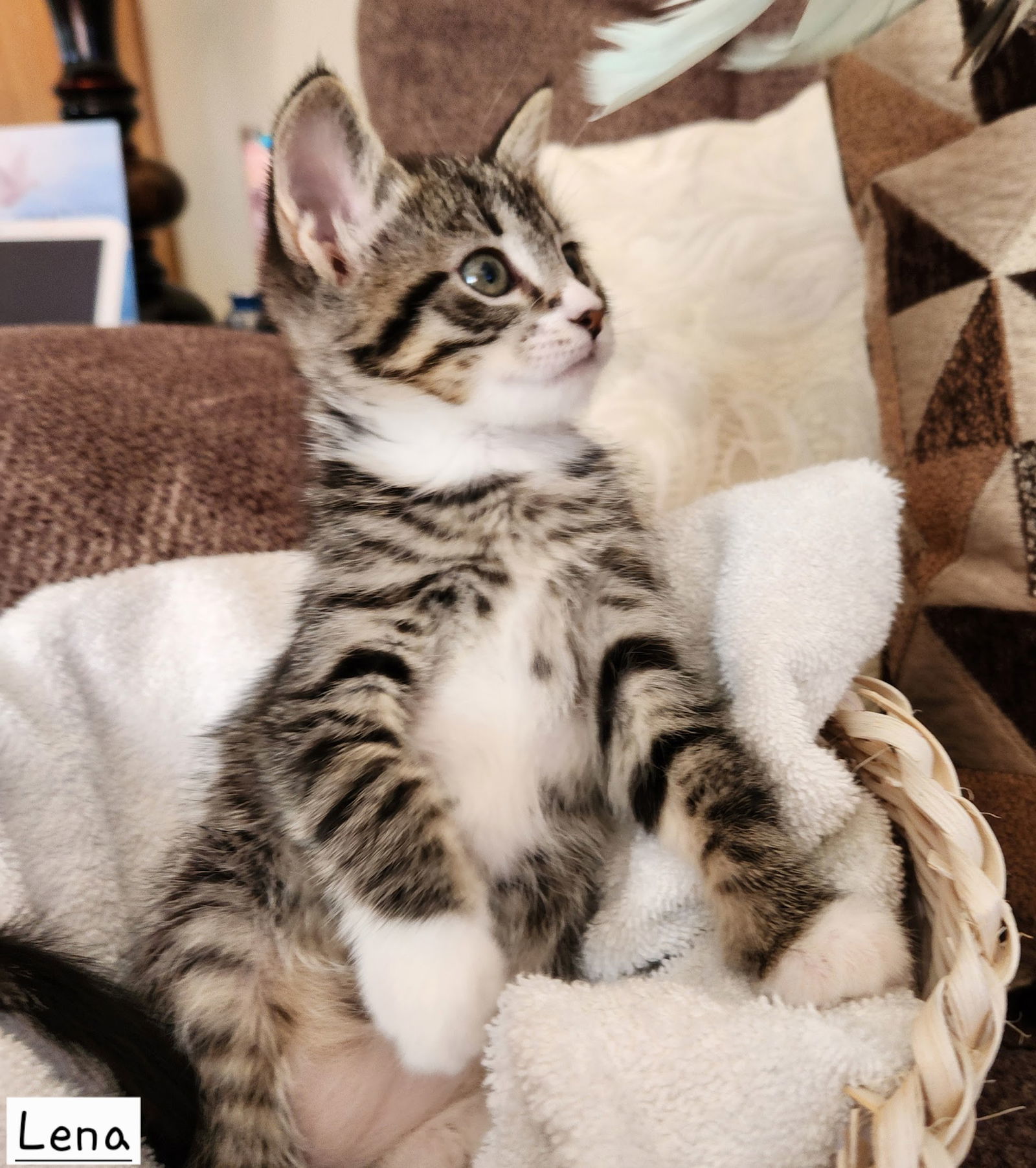 Lena
