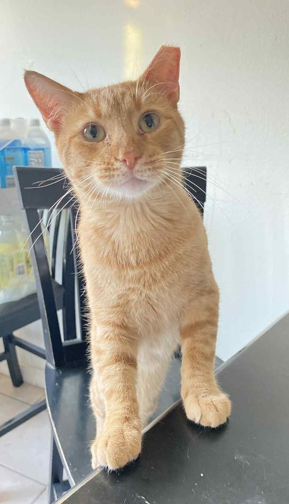 Charlie