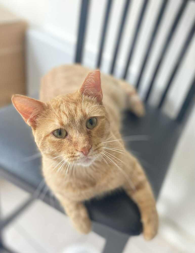 Charlie
