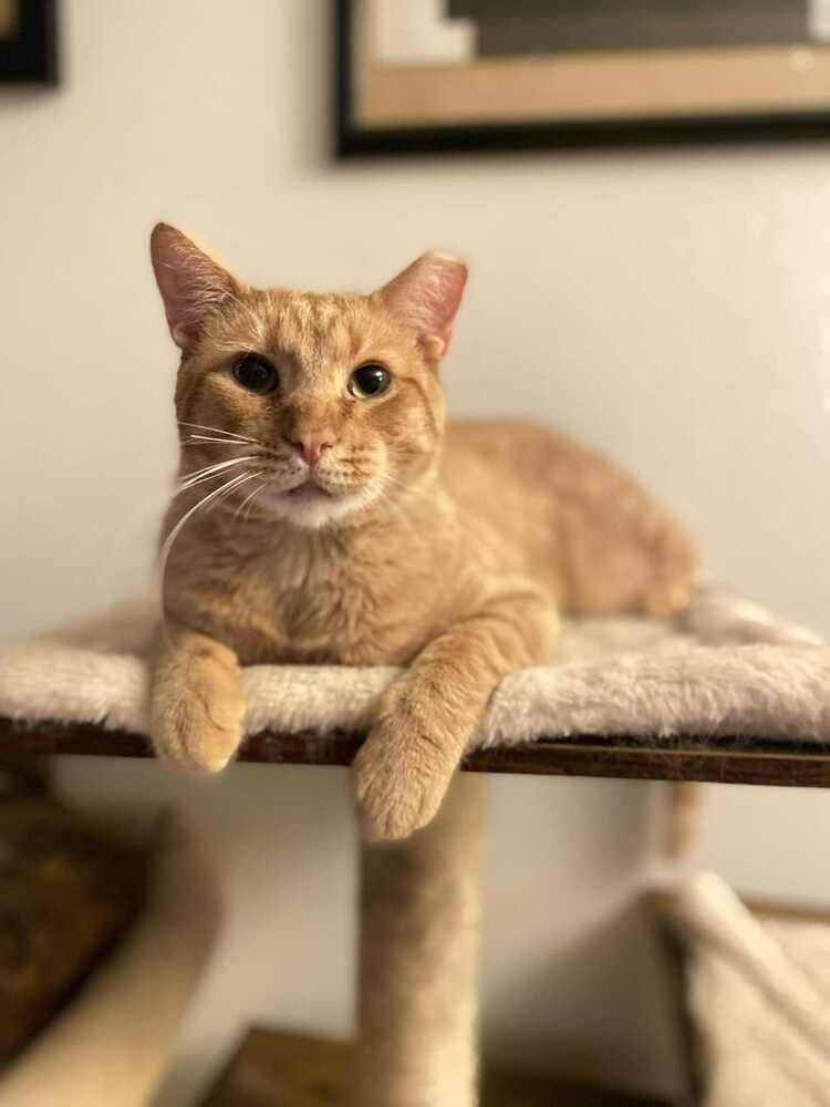 Charlie