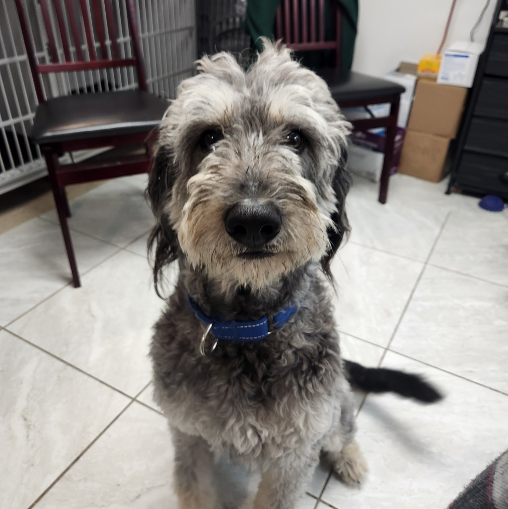 Milo