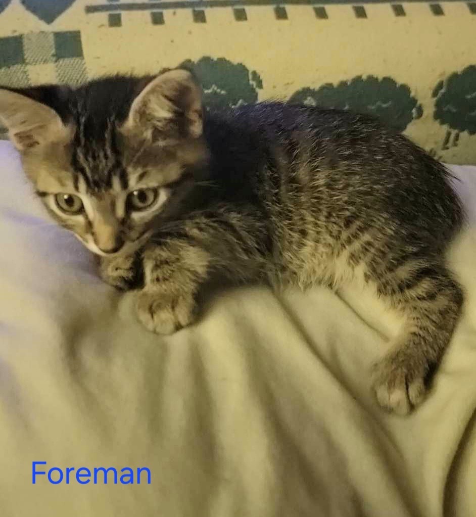 Foreman
