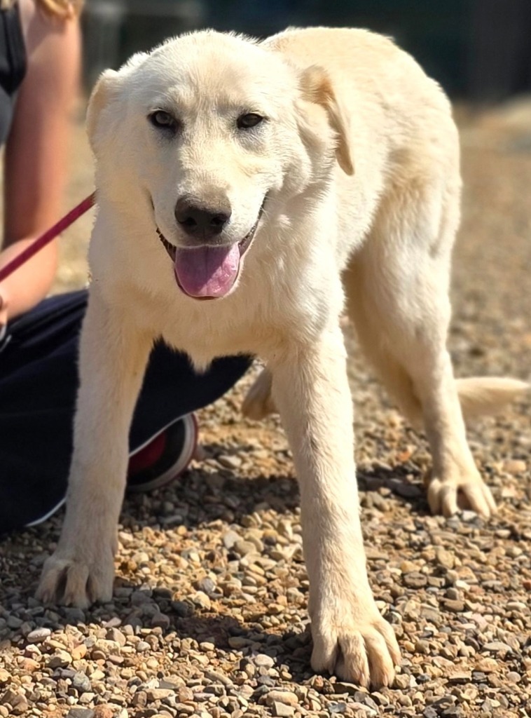Bonnie