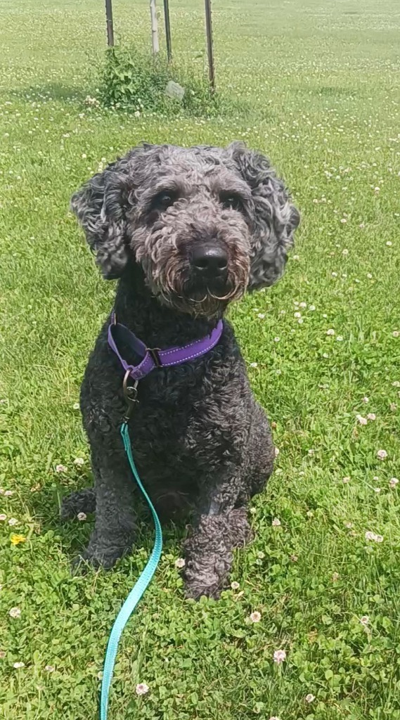 Max