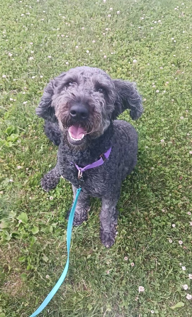 Max