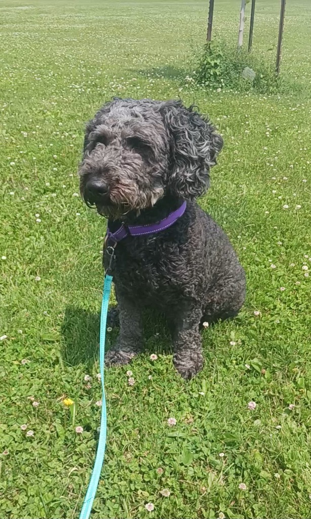 Max