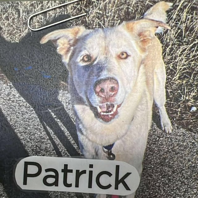 Patrick