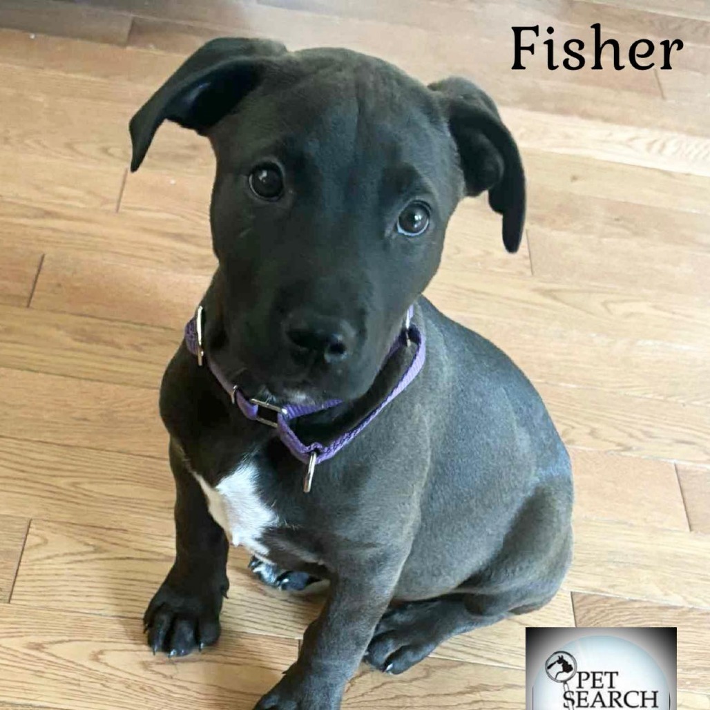 Fisher