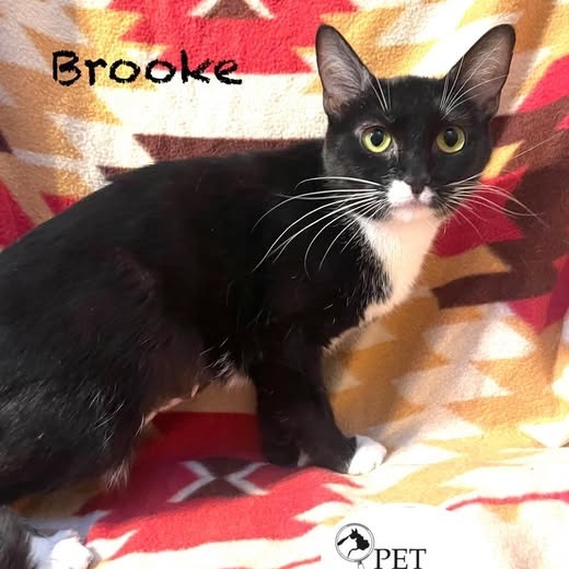 Brooke