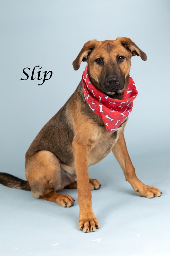 Slip