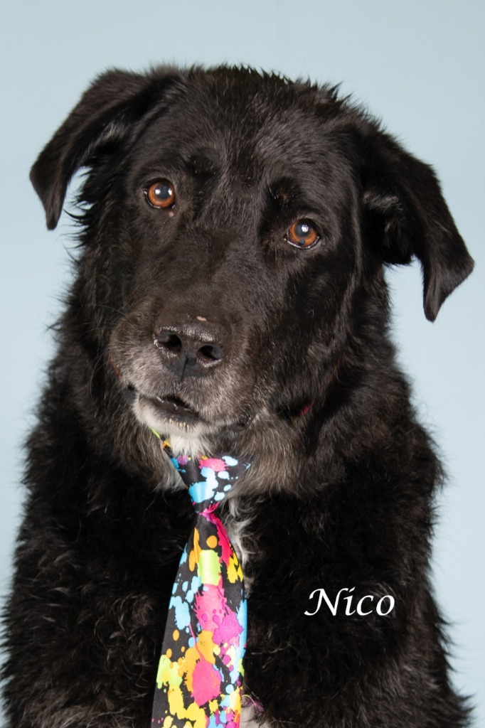 Nico