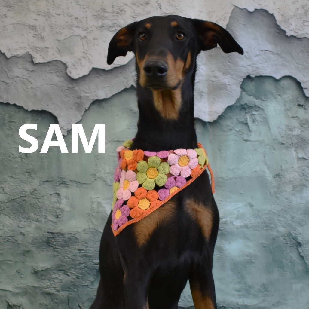 Sam