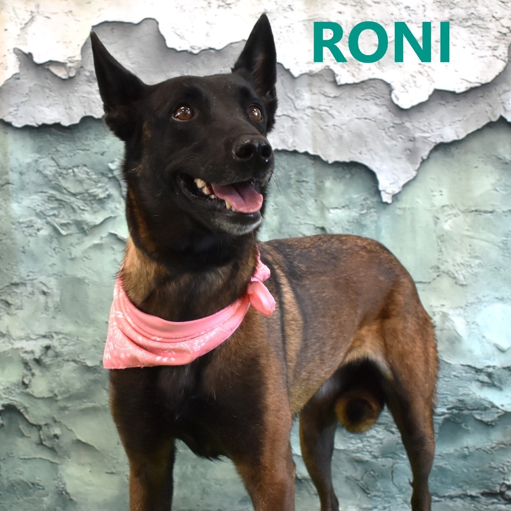 Roni