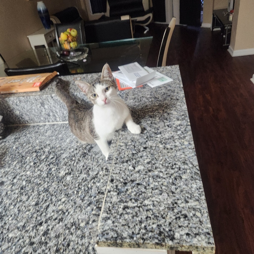 Vee