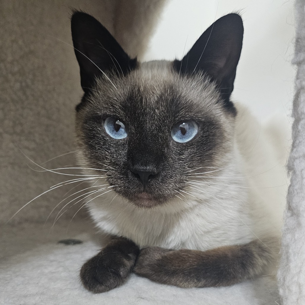 Rukus Franklin