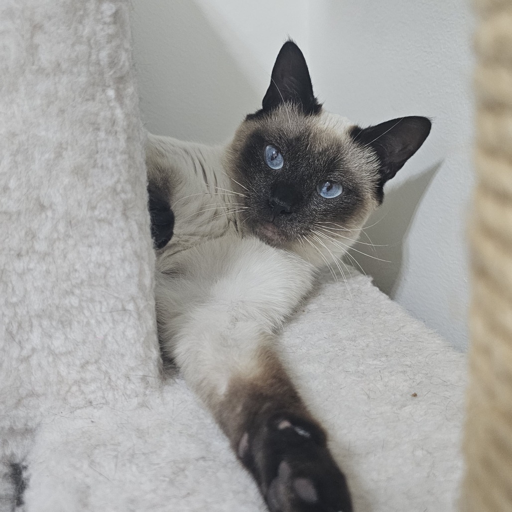 Rukus Franklin