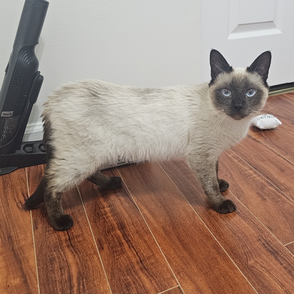 Rukus Franklin