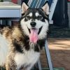 Ember - Home to Home photo 1