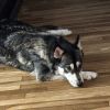 Ember - Home to Home photo 2