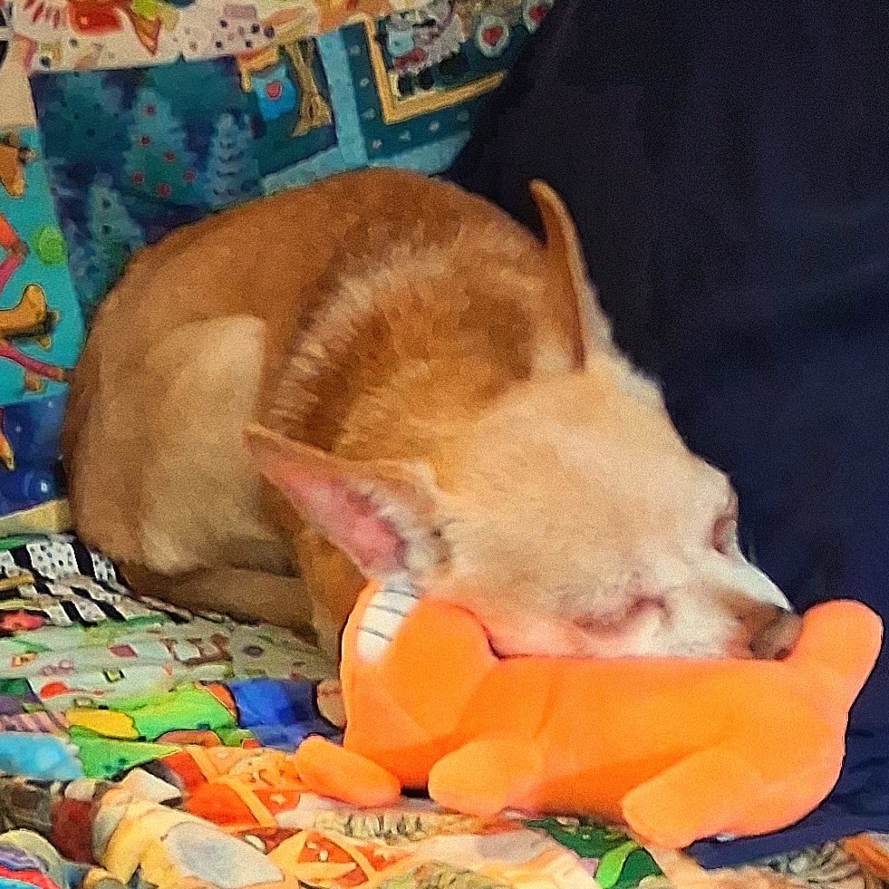 Peanut