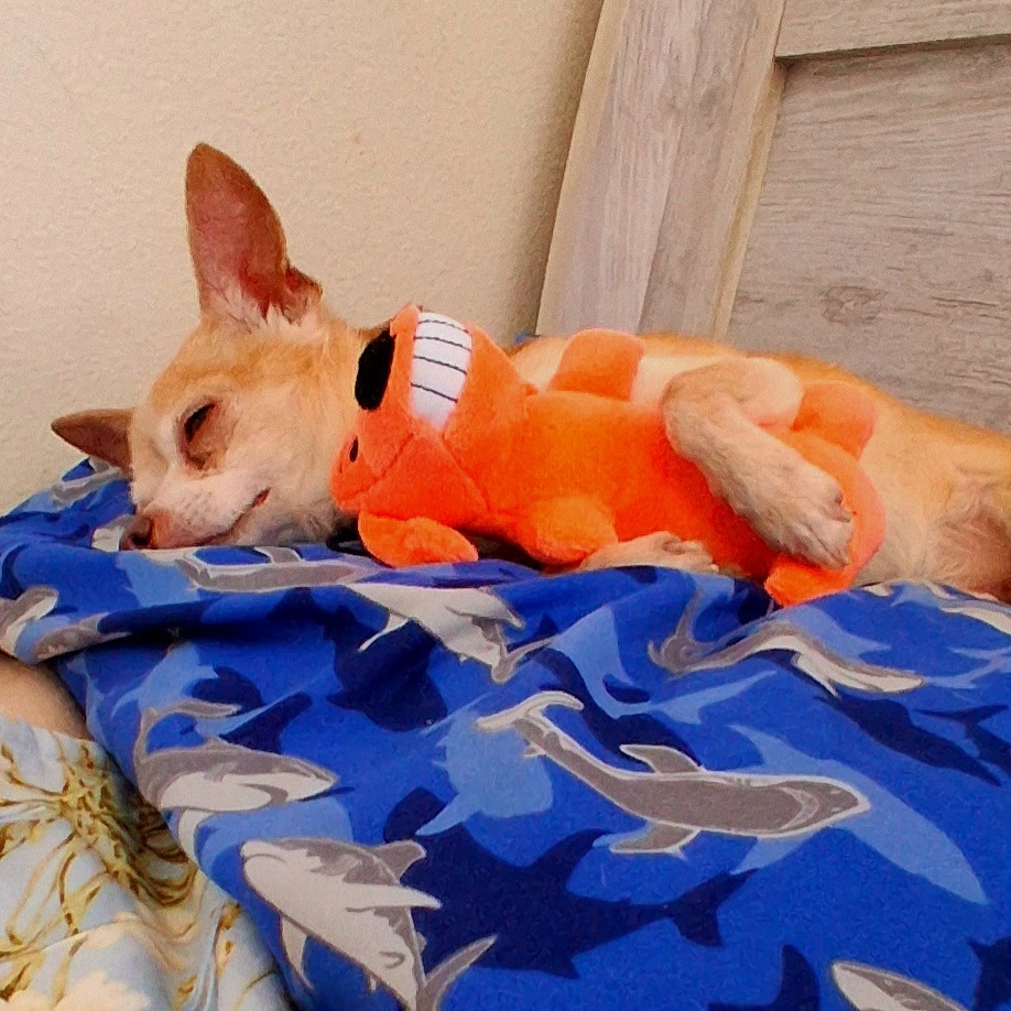 Peanut