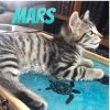 Mars photo 2