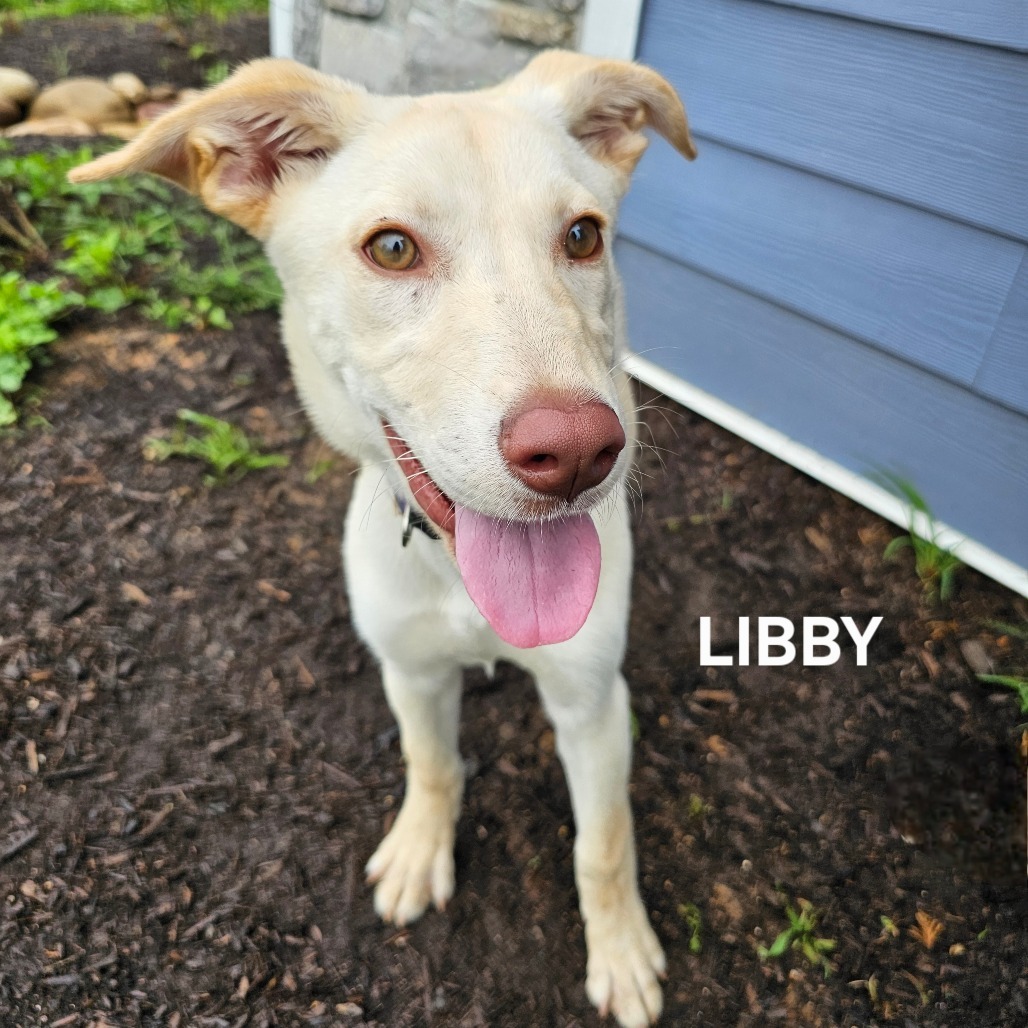 Libby