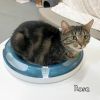 Rose @PAWZ pet cafe photo 1