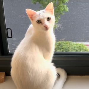Cat Benatar is a rising star with a name that rocks and a heart ready to love Though shes still