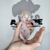 Nugget photo 4
