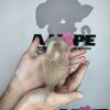 Nugget photo 5