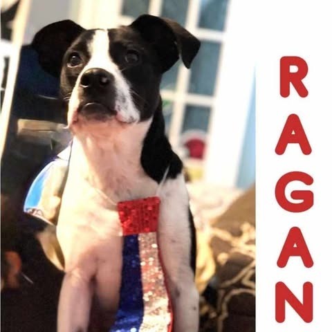 Ragan