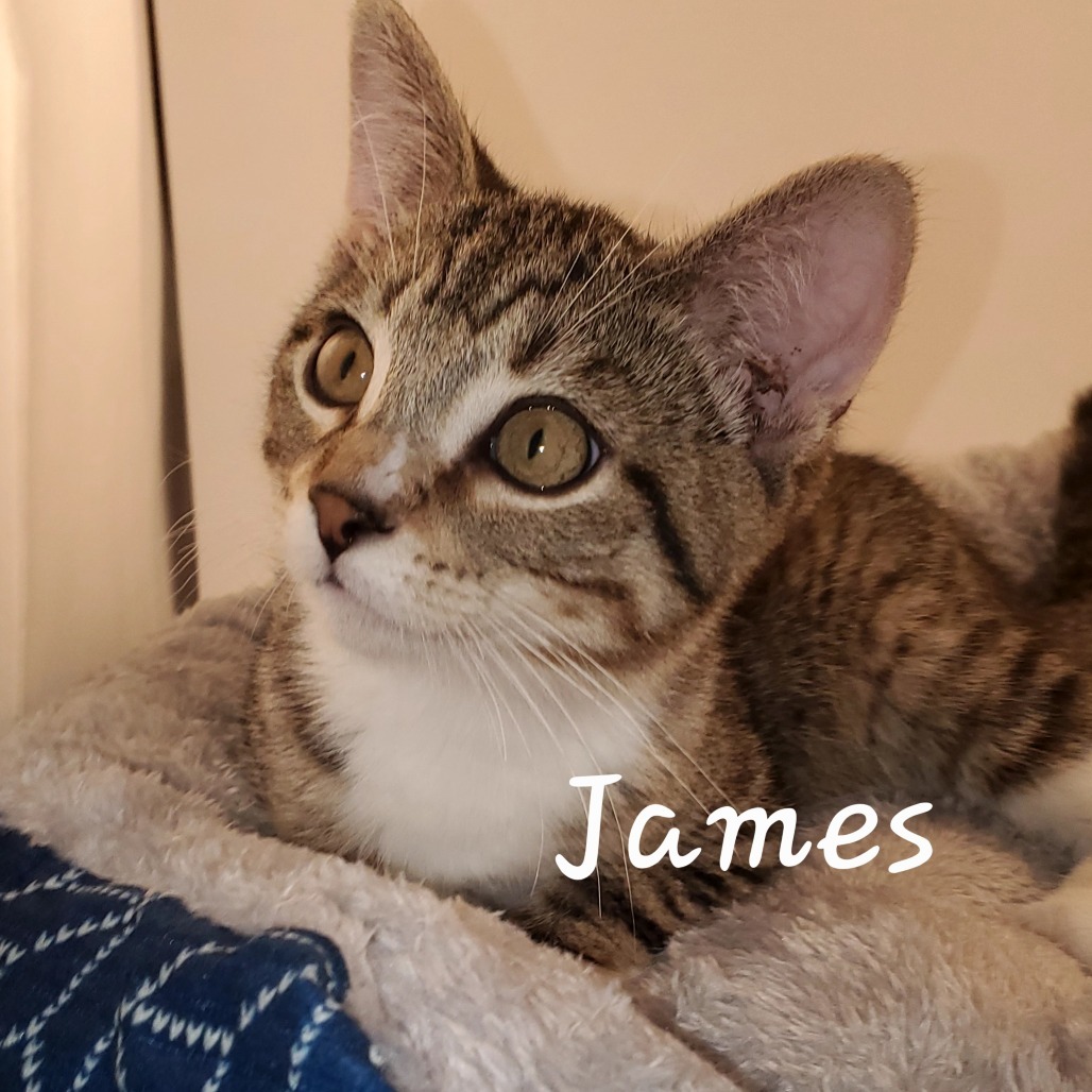 James