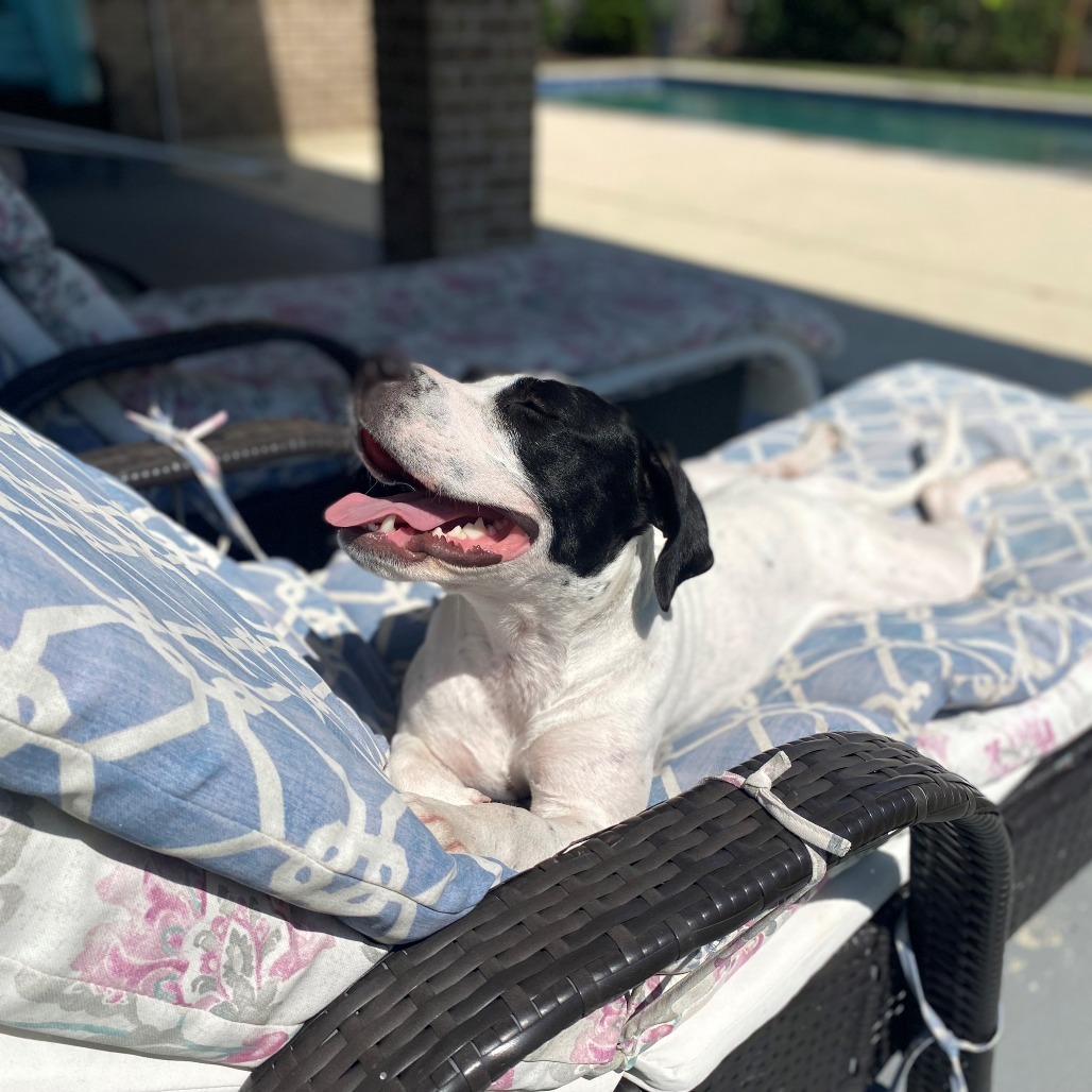 BettyBoo