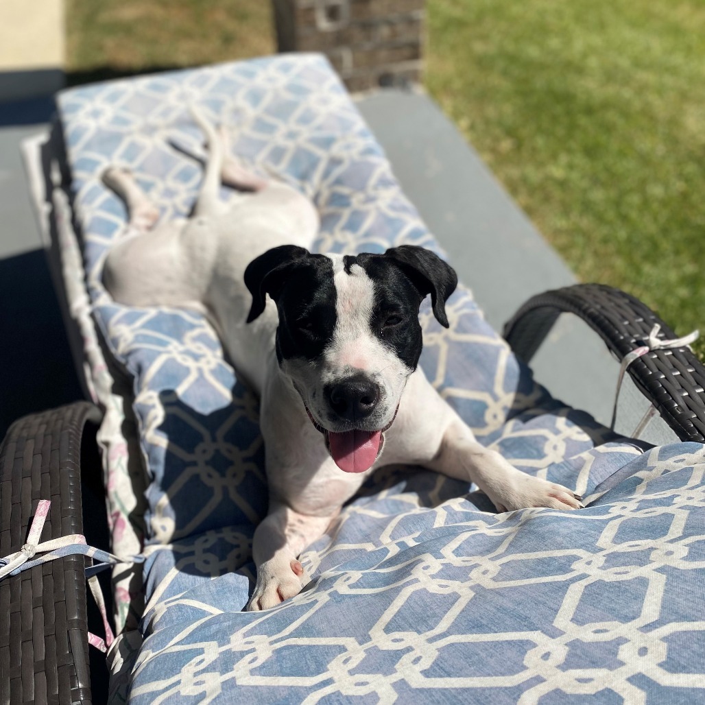 BettyBoo