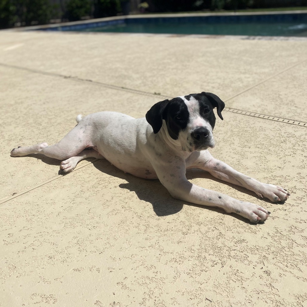 BettyBoo