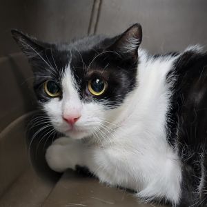 Matilda, Young Female unknown
