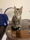 Wanda photo 1