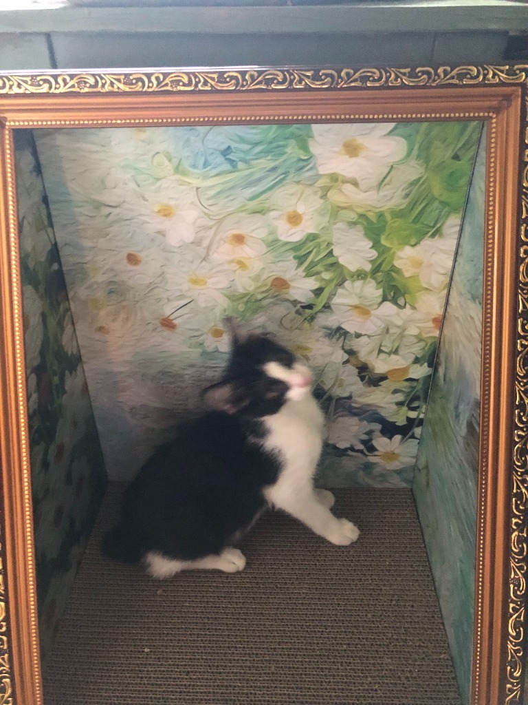Spottie