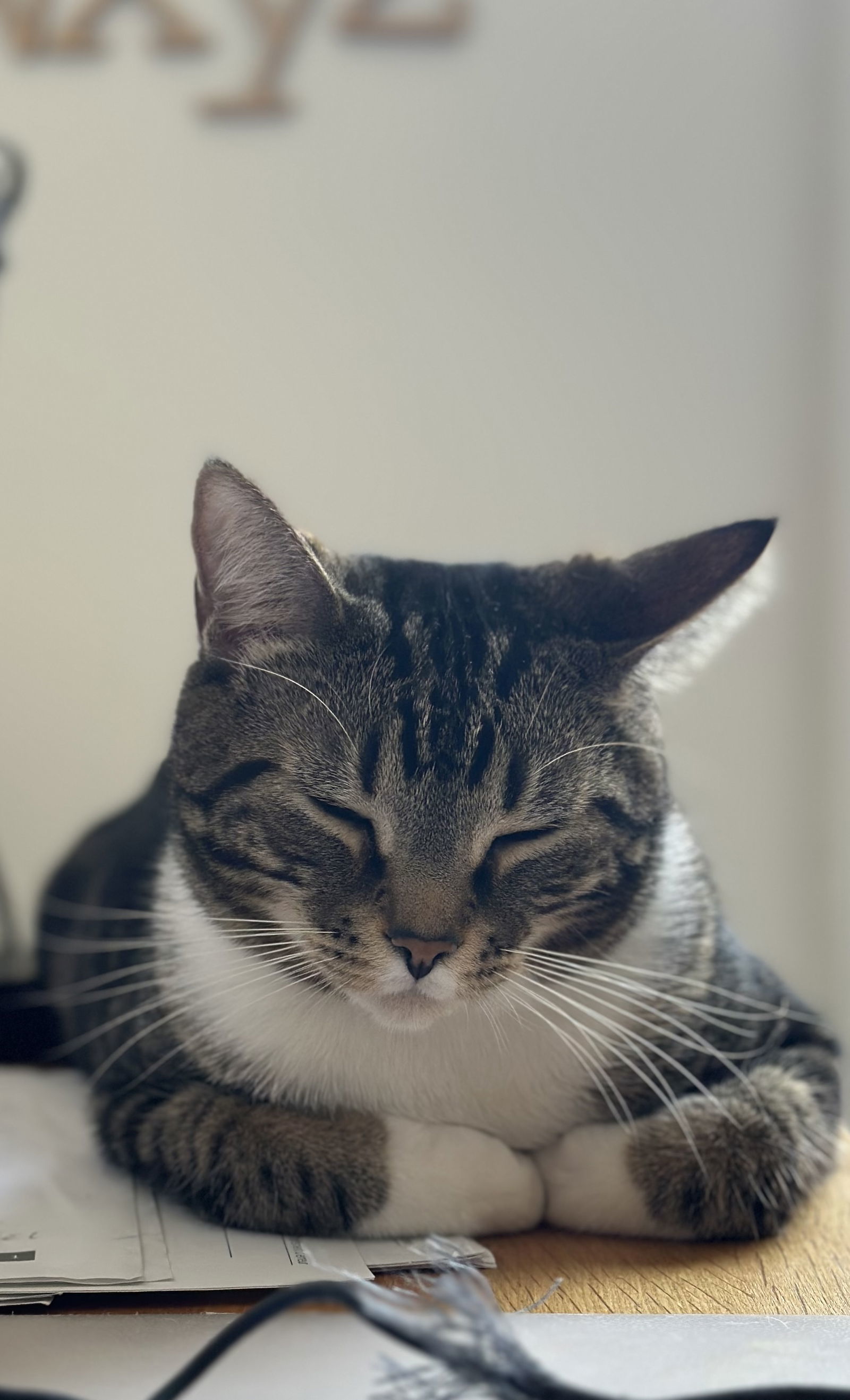 Miso