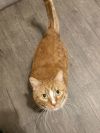 Fuzzy Britches photo 1