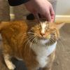 Fuzzy Britches photo 3