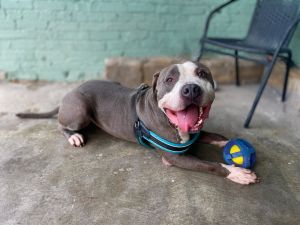 Winston, Senior Male unknown