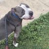 Winston photo 3