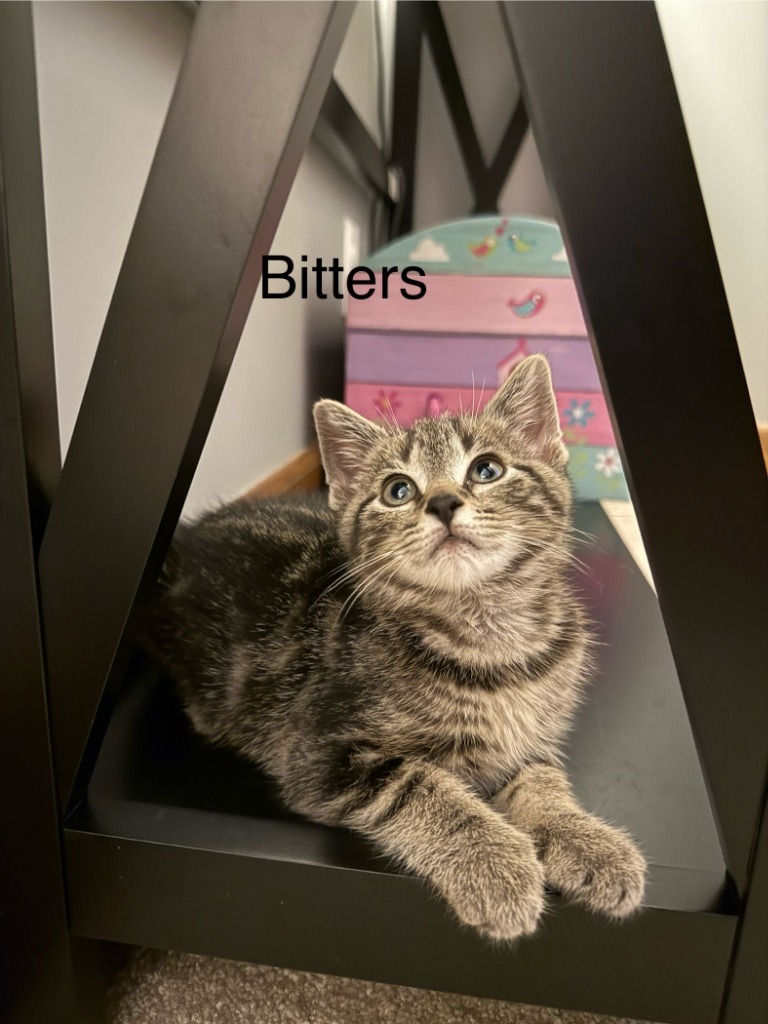 Bitters