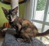 Maybelle25 photo 3